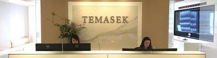 Singapore's temasek holdings is a private equity firm which seeks to invest in the life sciences, telecommunications, media, banking, real estate. Temasek Holdings Singapore Electronics Engineering Pte Ltd
