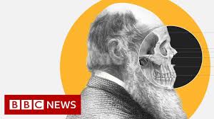 Read about charles darwin's theory of evolution and the origin of species. Theory Of Evolution How Did Darwin Come Up With It Bbc News Youtube