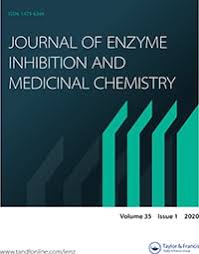 We did not find results for: Full Article Synthesis And Biological Evaluation Of Novel E N Benzylidene Hydrazides As Novel C Met Inhibitors Through Fragment Based Virtual Screening