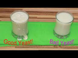 If the mixture bubbles and develops a yeasty aroma, the yeast is still good. Good Yeast Bad Yeast The Experiment Youtube