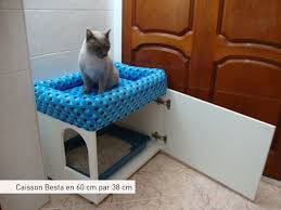 Epingle Sur Chat Chat