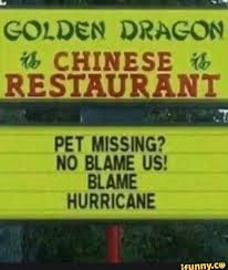 Golden Dragon Ir Chinese J Restauian Pet Missing No Blame Us Blame Hurricane Ifunny Hurricane Blame Boring Day