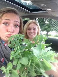 lyndsey gullstrand (@Lgullstrand)