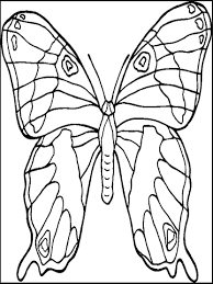 This week's theme is woodland forest animals (a fox, bear, squirrel, & a sweet badger) how fabulous … Butterfly Coloring Book Animals That Hibernate Child Adult Gummy Bear Coloring Pages Child Leaf Brush Footed Butterfly Png Pngwing