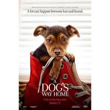 This movie was produced in 2010 by lance w. 2019 A Dog S Way Home ï½†ï½•ï½Œï½Œ ï½ï½ï½–ï½‰ï½… Hd1080p Sub English Dogs New Movie Posters Full Movies