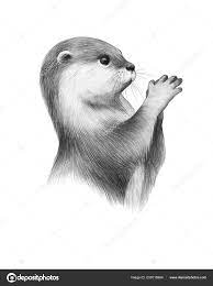 Download Animal Sketch Cute Little River Otter Animal In The Wild Pencil Drawing Graphics Stock Image Animal Sketches Otter Drawing Otter Illustration