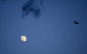 When and where does the moon rise and set? Index Of Imguploads 2014 06