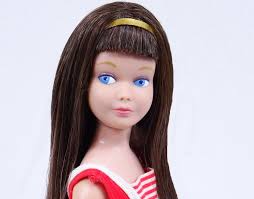 Shop for black barbie dolls online at target. Black And Blonde Hair Barbie Doll Friends And Family History And News From 1959 To The Present