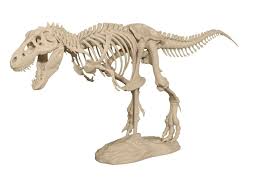 T Rex Skeleton By Makerbot Skeleton Model Makerbot Prints