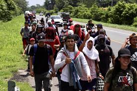 Honduras Exodus: 600 Migrants Flee Coffee Price Collapse and Devastating Floods for US Border