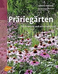 Prariegarten Faszinierend Und Stimmungsvoll Amazon De Laurence Machiels Bucher Garten Gartenkunst Pflanzen
