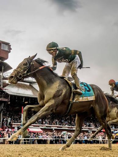 GOLDEN TEMPO wins the 158th Belmont Stakes! 🏆 Like the Kentucky Derby, it  was another unbelievable rally from last to first under jockey Jose Ortiz.  With the victory, Cherie DeVaux becomes the