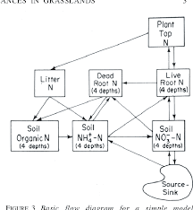 Figure 3 From Models And Processes Of The Nitrogen Cycle The