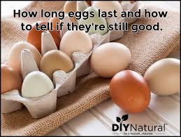 An egg that tilts would be good to use for meringue (yes, older eggs do make better meringue! How Long Do Eggs Last And How To Tell If Eggs Are Good And Fresh