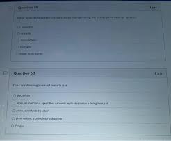 Solved Question Ips True Or False According To Human Chegg Com