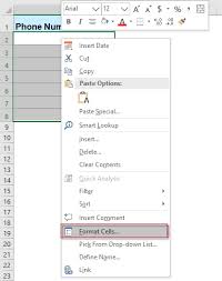 Celcom , maxis and digi as of 2005. How To Apply Data Validation To Force Phone Number Format In Excel