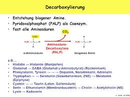 Dies passiert oft durch reifungsprozesse wo enzyme und bakterien beteiligt sind. Stoffwechsel Von Aminogruppen Ppt Herunterladen