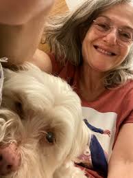 Amy Millan: 'Wire Walks'