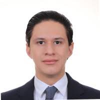 1300+ perfiles de «Lechuga»