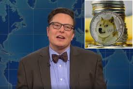 Dogecoin, parodying a shiba inu dog, was the crypto star. The History Of The Online Casino Industry And Its Progress Igaming