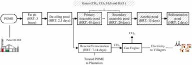 Crude palm oil is obtained from mesocarp part of palm oil. Selection Of Palm Oil Mill Effluent Treatment For Biogas Generation Or Compost Production Using An Analytic Hierarchy Process Springerlink