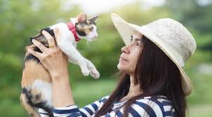 Yang diperlukan untuk memecah parasetamol , dalam beberapa menit setelah pemberian obat ini dapat berakibat fatal pada kucing. Ini Lho Bahaya Flu Kucing Bagi Manusia