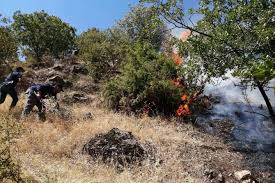 11.40 kilometre derinlikte meydana gelen depremin büyüklüğünün 5.3 olduğu açıklandı. Mugla Milas Ilce Haber Son Dakika Milas Haber Haberleri Cinarin Sesi