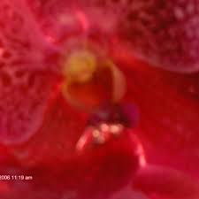 Ready for a test?with paper and pencil, make a list of all nutrients that plants need to grow properly.we'll wait…no cheating!here's the list to check. Linette Linette Twitter