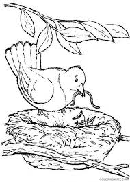 Supercoloring.com is a super fun for all ages: Nature Coloring Pages Bird Nest Coloring4free Coloring4free Com