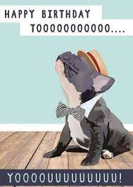 Pin By Annalise Du Preez On Bouledogue Happy Birthday Greetings Bulldog Happy Birthday Happy Birthday Pictures