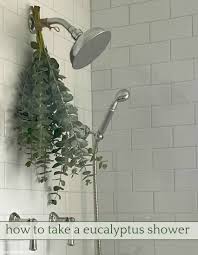 Use your brand new spray by spritzing it in the shower a few times until you smell the amazing aroma of eucalyptus. Favor Ette A Eucalyptus Shower Sheri Silver Living A Well Tended Life At Any Age