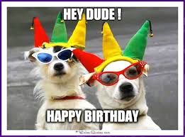 Some people say a dog is better than the human being because they love they are loyal and unconditionally love more than anyone.though. Funny Happy Birthday Dog Pics Novocom Top