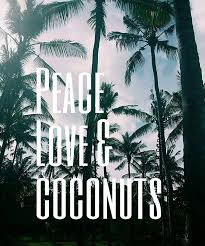 The egyptian and assyrian people have long considered the palm to be the quintessential tree of life. Peace Love And Coconuts Bali Bali Quotes Coconuts Quotes Animal Quotes