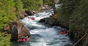 White water rafting could be a great option to fill some thrill in your life. Idaho Rafting Day Trip St Joe River Row Adventures