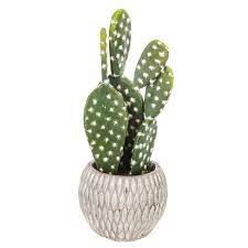 Cacti make wonderful houseplants and can thrive even if neglected on occasion. Prickly Pear Cactus In Gray Cement Pot Hobby Lobby 1567130