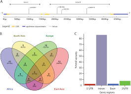 It is a domain having com extension. Population Genetic Evidence For Positive And Purifying Selection Acting At The Human Ifn G Locus In Africa Genes Immunity