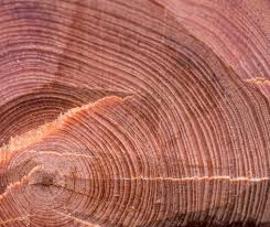 However, solid wood cabinets are not perfect. What Are Hardwood Solids In Furniture Swankyden Com