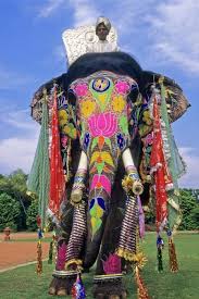 Decorated Indian Elephant Greeting Card By Michele Burgess Indian Elephant Elephant Photography Elephant Poster