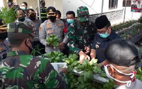 Rs mitra plumbon telah menyediakan layanan pemeriksaan tes antibodi kuantitatif untuk mengetahui antibodi. Desa Pesanggrahan Cirebon Dijadikan Kampung Tangguh