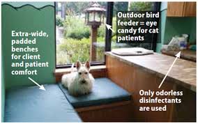 Keeping your furry friend healthy will always be a top priority, but for many pet owners a trip to the vet can be difficult to finance. Fear Free Veterinary Care Whole Dog Journal Veterinary Care Veterinary Vet Medicine