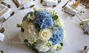Dutch tulips (typically seen at neighborhood florist shops and in gardens), french tulips (expensive and elegant. Hydrangea Wedding Flowers Pure Botanics