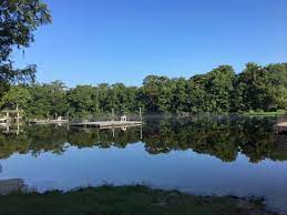 $6 per vehicle state park entrance fee restroom: Cooler Park Top Ranger Und Gutes Essen Edward Ball Wakulla Springs State Park Wakulla Springs Reisebewertungen Tripadvisor