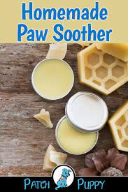 We pride ourselves on our innovative pet mobile grooming service. Paws Pet Grooming Langebaan Alex Paperdreams