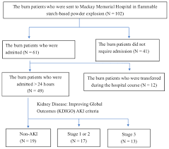 We did not find results for: The Predisposing Factors Of Aki For Prophylactic Strategies In Burn Care Peerj