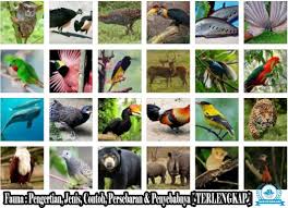 Pengertian Fauna Jenis Contoh Persebaran Penyebabnya