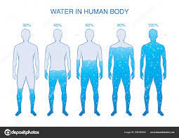 By adulthood, the differences are even more pronounced: Ciudat Personificare Settlers What Percentage Of The Human Body Is Water Presentationlearningcenter Org