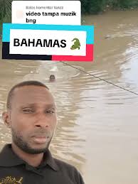 Cape Fear Serpentarium Tripadvisor Crocodile