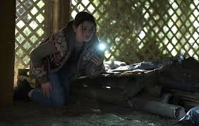 It won't win any awards, but you. Film Review Wish Upon The Macguffin