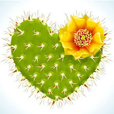 I'm stuck, because i just can't tear myself away. The Magnetic Fields The Cactus Where Your Heart Should Be Lyrics Genius Lyrics