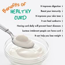 Curd benefits

